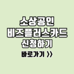 소상공인 비즈플러스카드