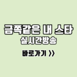 금쪽같은 내 스타 실시간