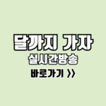 달까지 가자 실시간