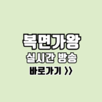 복면가왕 실시간 보러가기