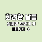 화려한 날들 보러가기