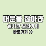 대운을 잡아라 보러가기