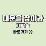 대운을 잡아라 재방송