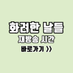 화려한 날들 재방송