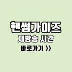 핸썸가이즈 재방송