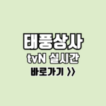 태풍상사 실시간
