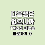 다음생은 없으니까 재방송