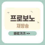 제목을 입력해주세요_-001 - 2025-12-01T165608.052 (1) 프로보노 재방송