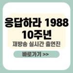 제목을 입력해주세요_-001 - 2025-12-30T102522.857 (1) 응답하라 1988 10주년 재방송
