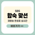 제목을 입력해주세요_-001 - 2026-01-02T092557.963 (1) 합숙 맞선 재방송