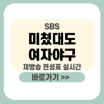 제목을 입력해주세요_-001 - 2026-01-02T161800.505 (1) 미쳤대도 여자야구 재방송