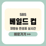 제목을 입력해주세요_-001 - 2026-01-02T180956.461 (1) 베일드 컵 재방송