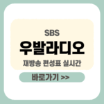 제목을 입력해주세요_-001 - 2026-01-06T093039.823 (1) 우발라디오 재방송