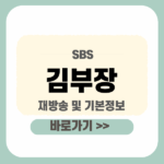 김부장 재방송